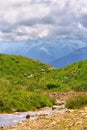 Green Meadow with flowers and water Stream and Mountains on Background