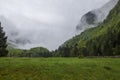 Green meadow in foreground and mountain with forest, clouds and fog in background