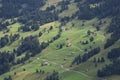 Green meadow, forest and houses in Gsteig bei Gstaad