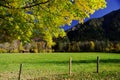 Green meadow in front of autumnal mountain forest with yellow-green foliage in the foreground  2 Royalty Free Stock Photo