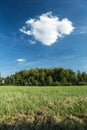 Green meadow in front of the forest and one cloud in the sky Royalty Free Stock Photo