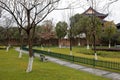 Green meadow of futian park, adobe rgb Royalty Free Stock Photo