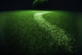 Green meadow grass field for football Royalty Free Stock Photo