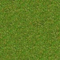 Green Meadow Grass. Seamless Texture.