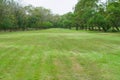 Green meadow grass surrounded with trees at public park. Royalty Free Stock Photo