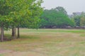 Green meadow grass surrounded with trees at public park. Royalty Free Stock Photo