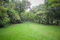 Green meadow grass surrounded with trees at public park. Royalty Free Stock Photo