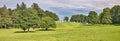 The green meadow on the Gurten hill in the city of Bern Royalty Free Stock Photo