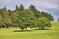 The green meadow on the Gurten hill in the city of Bern Royalty Free Stock Photo