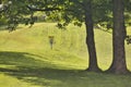 The green meadow on the Gurten hill in the city of Bern where there is a field from the national frisbee tournament