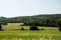 Green meadow with hay bales and trees in Provence, France