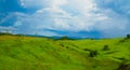 Green meadow landscape - lush and sappy grass Royalty Free Stock Photo