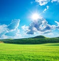 Green meadow in mountain