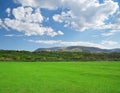 Green meadow in mountain.