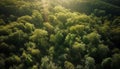 Green meadow, mountain, and tree beauty captured by drone generated by AI
