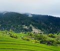 Green meadow in mountain village.