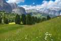 Green meadow with mountains on backgound, the Dolomites Royalty Free Stock Photo