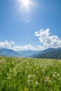 Green meadow in the mountains