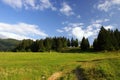 Green meadow near forest under blue sky.Majestic panorama of pine trees above a green pasture under blue sunny sky.mountain summer Royalty Free Stock Photo