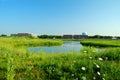 Green meadow and office buildings Royalty Free Stock Photo