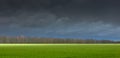 Green meadow with row of trees under a dark sky with dramatic clouds, landscape before the outbreak of a thunderstorm Royalty Free Stock Photo