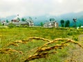 Green Meadow in a Russian Countryside Landscape