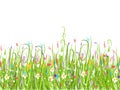 Green meadow, seamless pattern for your design