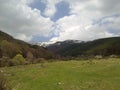 Green meadow snow peak forest bkue sky and clouds Royalty Free Stock Photo