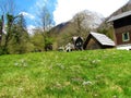 Green meadow in spring at mountain lodge at Kamniska Bistrica