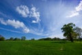 A green meadow and a sunny, blue sky Royalty Free Stock Photo