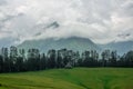 Green Meadow Surrounded by Deodar Tree in Himalayas, Sainj Valley, Shahgarh, Himachal Pradesh, India Royalty Free Stock Photo