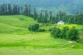 Green Meadow Surrounded by Deodar Tree in Himalayas, Sainj Valley, Shahgarh, Himachal Pradesh, India Royalty Free Stock Photo