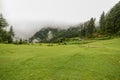 Green Meadow Surrounded by Deodar Tree in Himalayas, Sainj Valley, Shahgarh, Himachal Pradesh, India Royalty Free Stock Photo