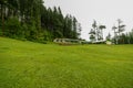 Green Meadow Surrounded by Deodar Tree in Himalayas, Sainj Valley, Shahgarh, Himachal Pradesh, India Royalty Free Stock Photo