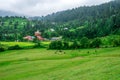 Green Meadow Surrounded by Deodar Tree in Himalayas, Sainj Valley, Shahgarh, Himachal Pradesh, India Royalty Free Stock Photo