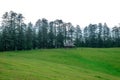 Green Meadow Surrounded by Deodar Tree in Himalayas, Sainj Valley, Shahgarh, Himachal Pradesh, India Royalty Free Stock Photo