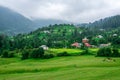 Green Meadow Surrounded by Deodar Tree in Himalayas, Sainj Valley, Shahgarh, Himachal Pradesh, India Royalty Free Stock Photo