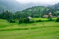 Green Meadow Surrounded by Deodar Tree in Himalayas, Sainj Valley, Shahgarh, Himachal Pradesh, India Royalty Free Stock Photo