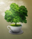 Green meadow and trees in a cup