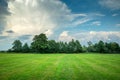 Green meadow with trees on the horizon and abstract clouds on the blue sky Royalty Free Stock Photo