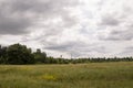 Green meadow with trees and houses far away. Small town Royalty Free Stock Photo