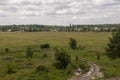 Green meadow with trees and houses far away. Small town Royalty Free Stock Photo