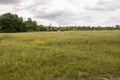 Green meadow with trees and houses far away. Small town Royalty Free Stock Photo