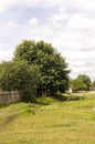 Green meadow with trees and houses far away. Small town Royalty Free Stock Photo