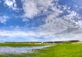 Green meadow under blue sky