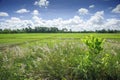 Green meadow under blue sky with clouds Royalty Free Stock Photo