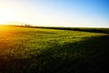 Green meadow under blue sky with clouds. Beautiful Nature Sunset Landscape. Fresh seasonal background. Ecology concept. Beauty Royalty Free Stock Photo