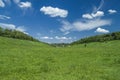 Green meadow under blue sky with clouds, nature background