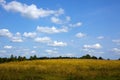 Green meadow under blue sky with clouds of white