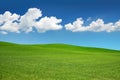 Green meadow under a blue sky